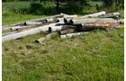 Property photo 98 - PERSONAL PROPERTY AUCTION OF DEWALD GARDENS IN ALLEN COUNTY, INDIANA